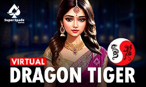 VG Dragon Tiger